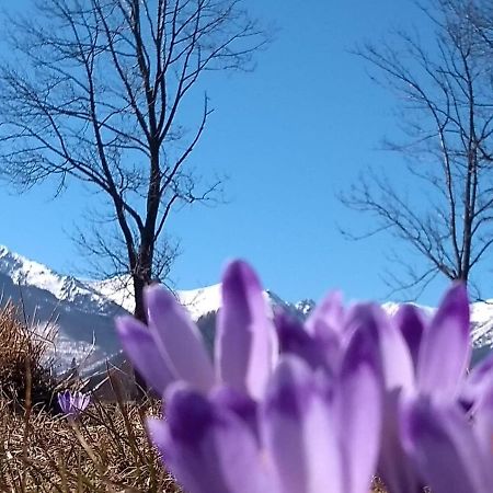 Apartament Akuratny Zakopane Esterno foto